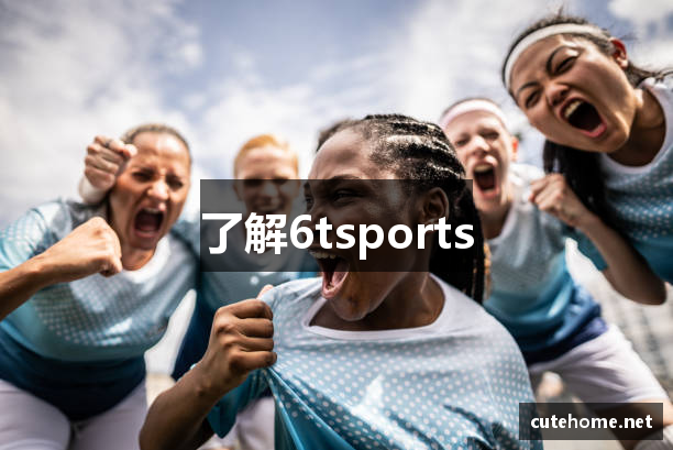 了解6tsports